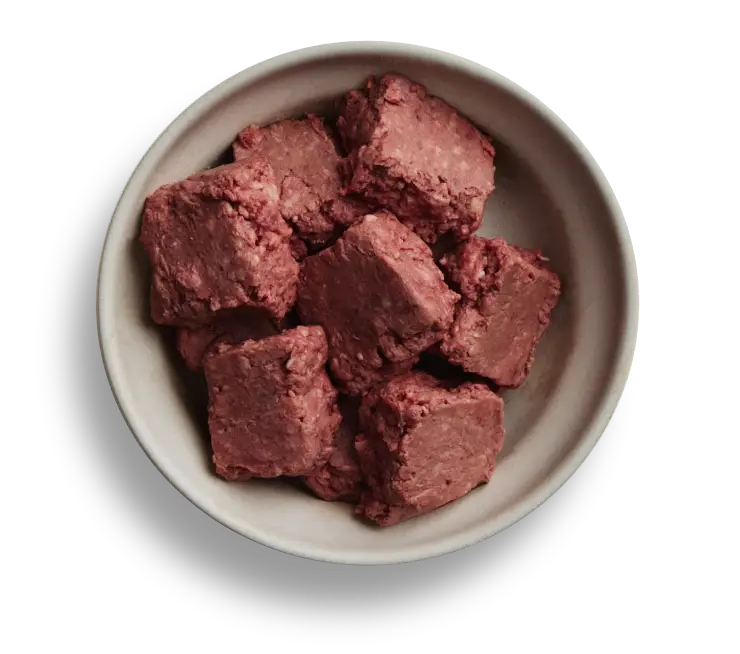 Dog food bowl full of We Feed Raw highly nutrient raw food