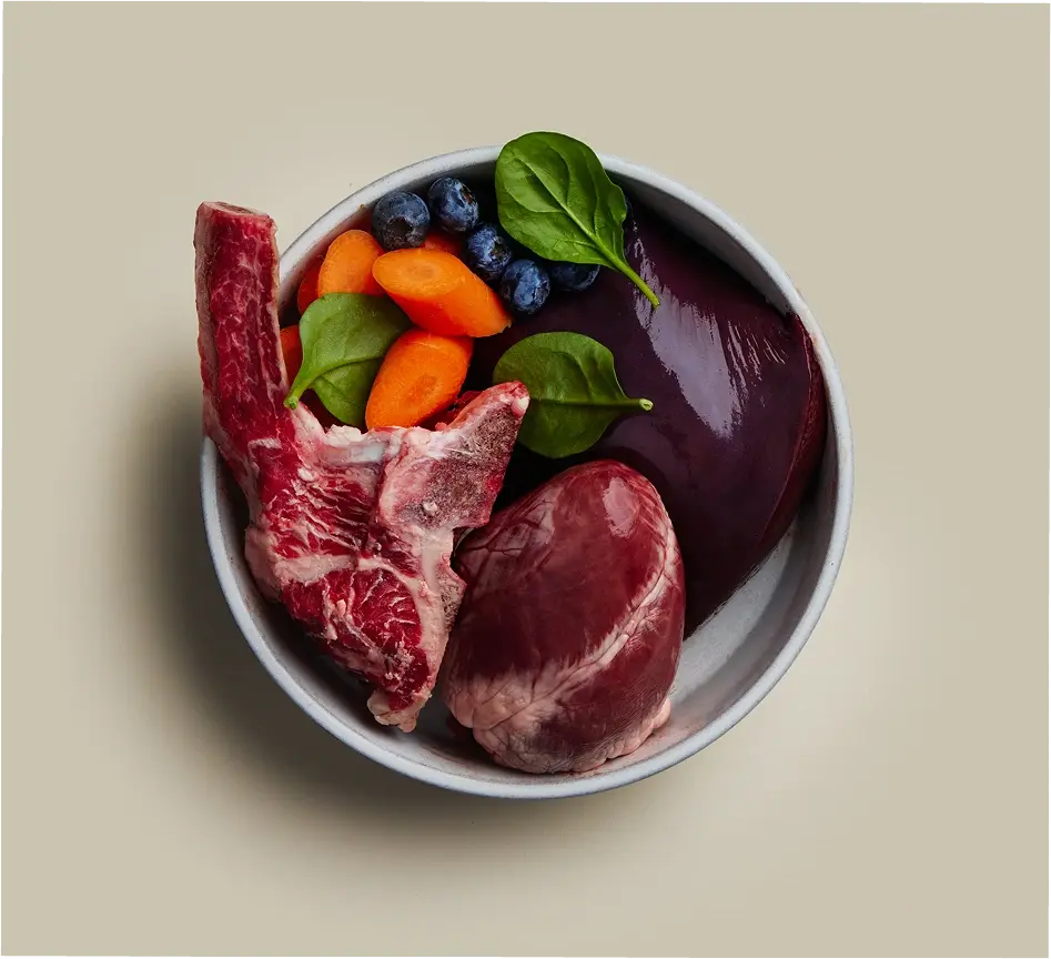 Bowl of fresh dog food ingredients